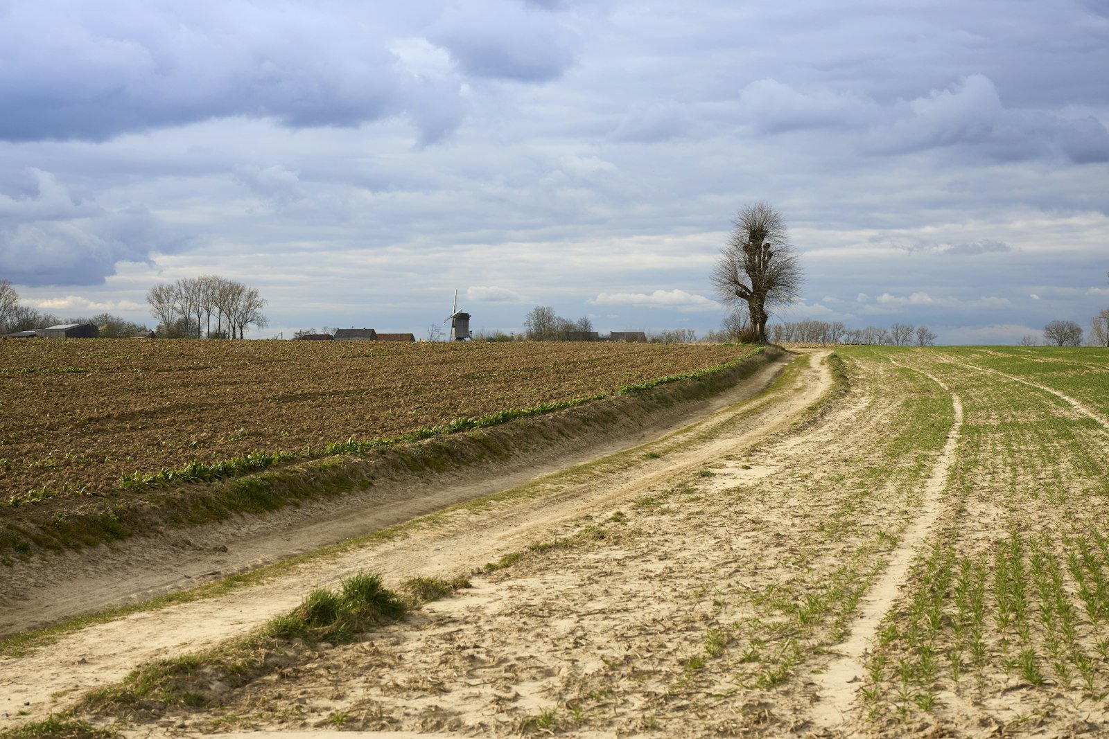 Chemin dégagé à travers un terrain entretenu dans la campagne du Gard