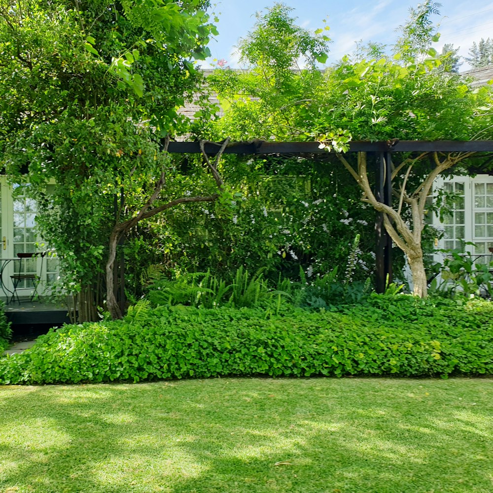 Jardin entretenu avec pelouse tondue et massifs taillés