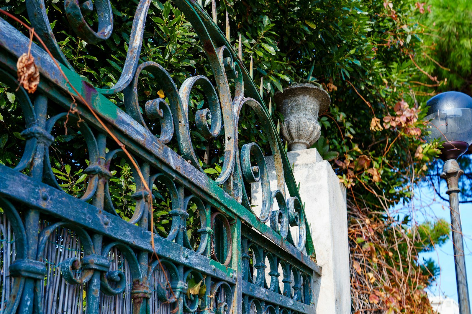 Portail en fer forgé orné de motifs décoratifs